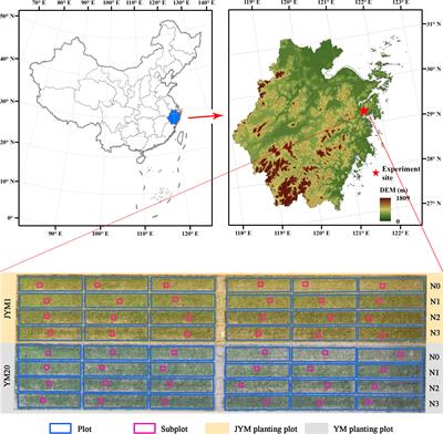 Improving grain yield prediction through fusion of multi-temporal spectral features and agronomic trait parameters derived from UAV imagery